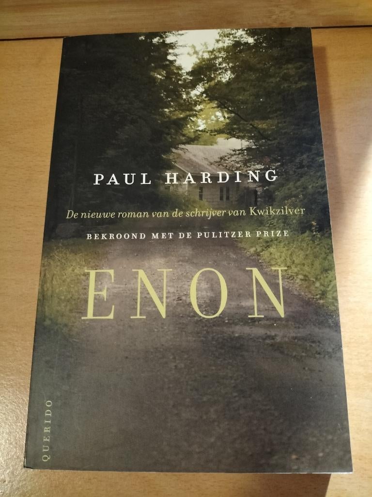 Paul Harding - Enon, Boeken, Romans, Zo goed als nieuw, Amerika, Ophalen of Verzenden