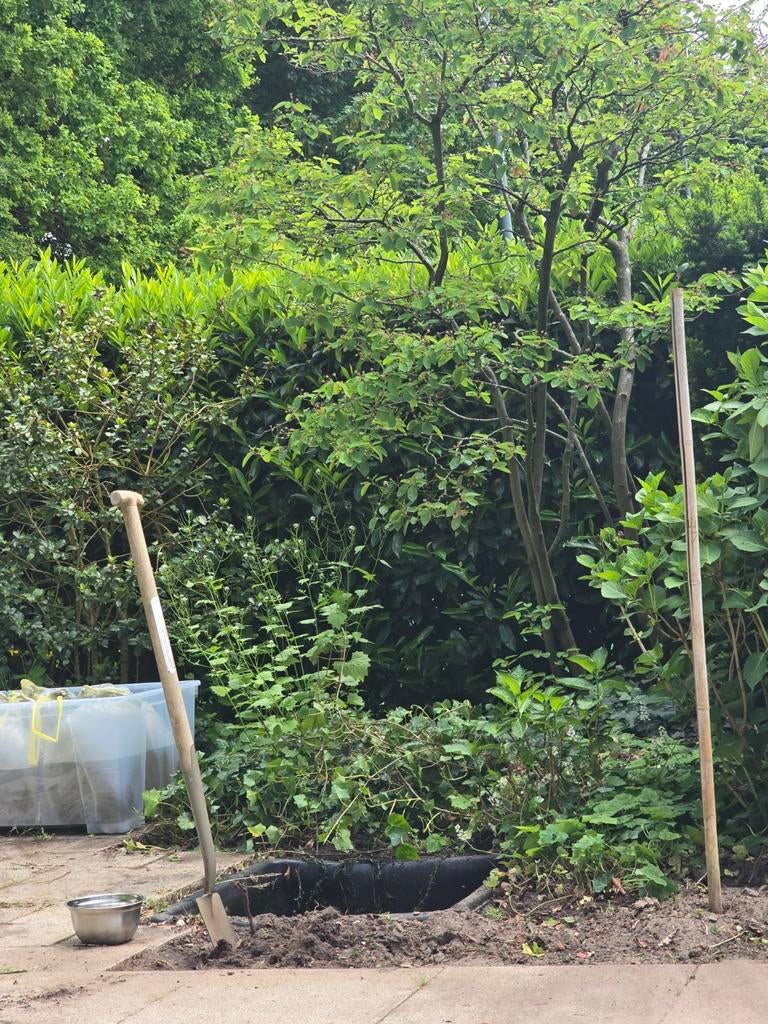 Mini vijver op te halen bij ons leuk voor kinderen maar ook, Tuin en Terras, Planten | Bomen, Ophalen, Volle zon, Overige soorten