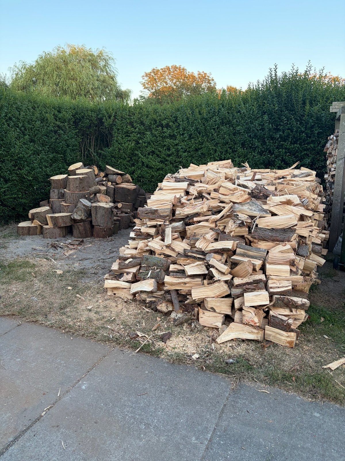 Vers gekloofd brandhout Douglas, 6 m³ of meer, Ophalen, Overige houtsoorten, Blokken