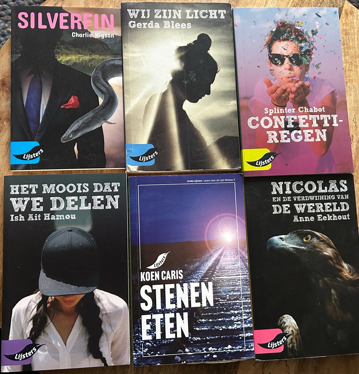 6 Grote Lijsters boeken - Diverse auteurs, Ophalen of Verzenden, Gelezen, Nederland