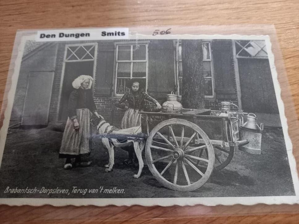 Den Dungen, Verzamelen, Ophalen of Verzenden, Utrecht
