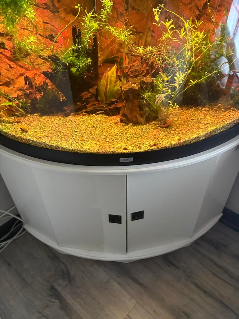 Aquarium hoek bak, Ophalen of Verzenden, Leeg aquarium, Juwel