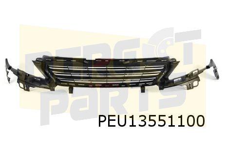 Peugeot 308 (11/13-10/17) (T9) grillerooster (versie Acces /