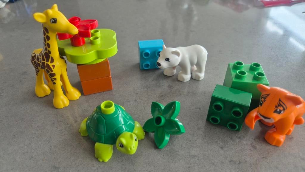 LEGO DUPLO jonge dieren 10801, Ophalen, Gebruikt, Overige merken