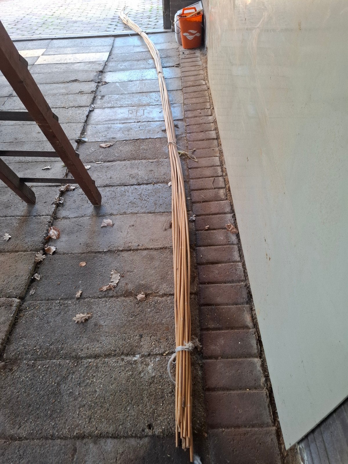 Rotan Bamboe of pitriet, Ophalen, Nieuw