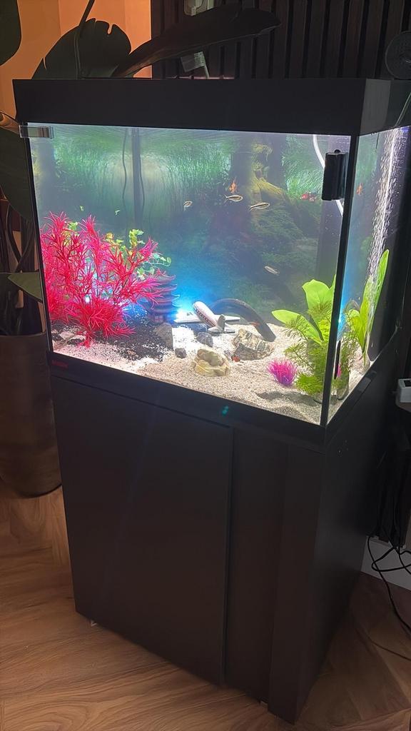 Aquarium Eheim 150L, Ophalen, Zo goed als nieuw, Leeg aquarium