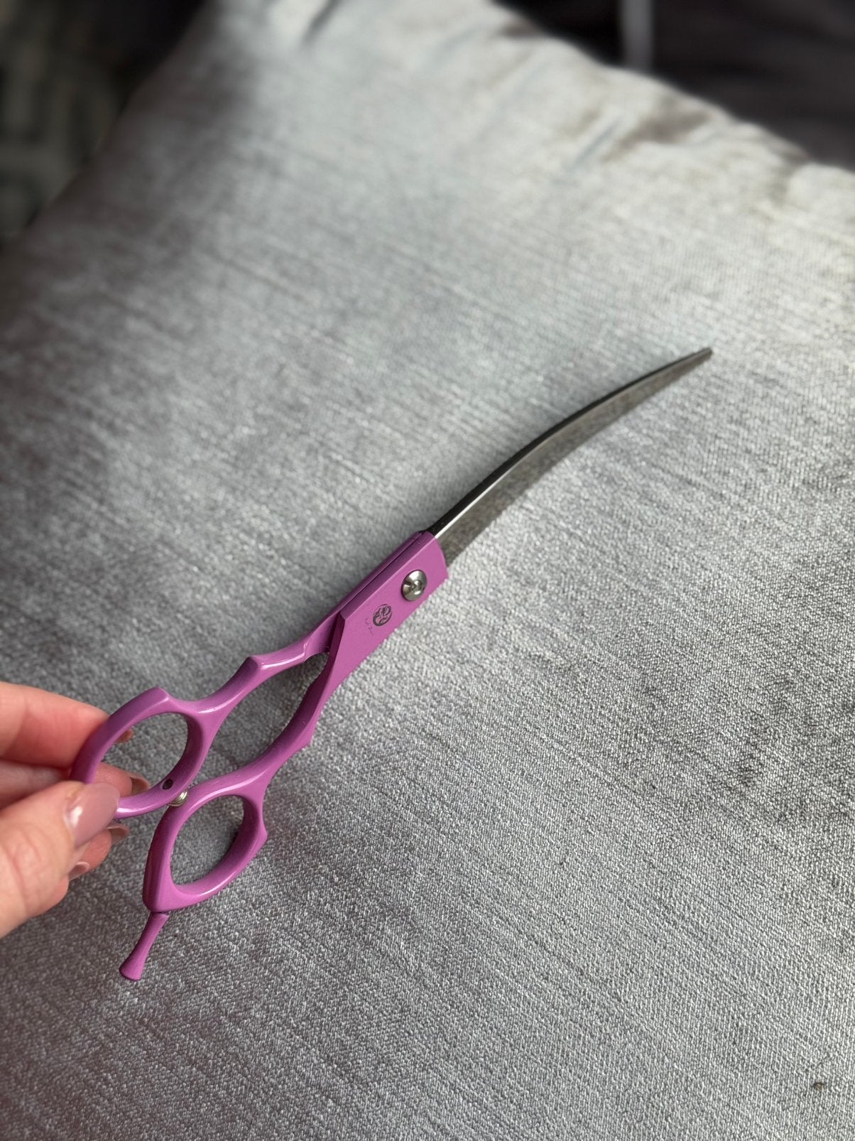 Purple dragon trimschaar, Dieren en Toebehoren, Honden-accessoires, Ophalen of Verzenden, Zo goed als nieuw