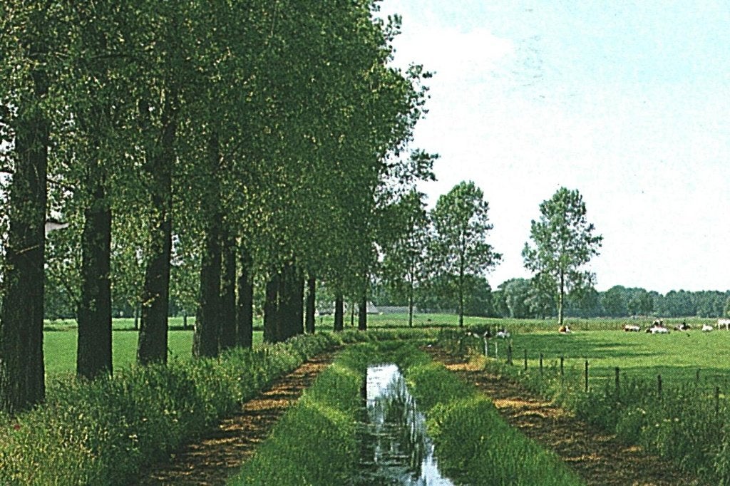42729 Barchem 80+ Gld Gelopen met Postzegel, Ophalen of Verzenden, 1980 tot heden, Gelopen, Gelderland