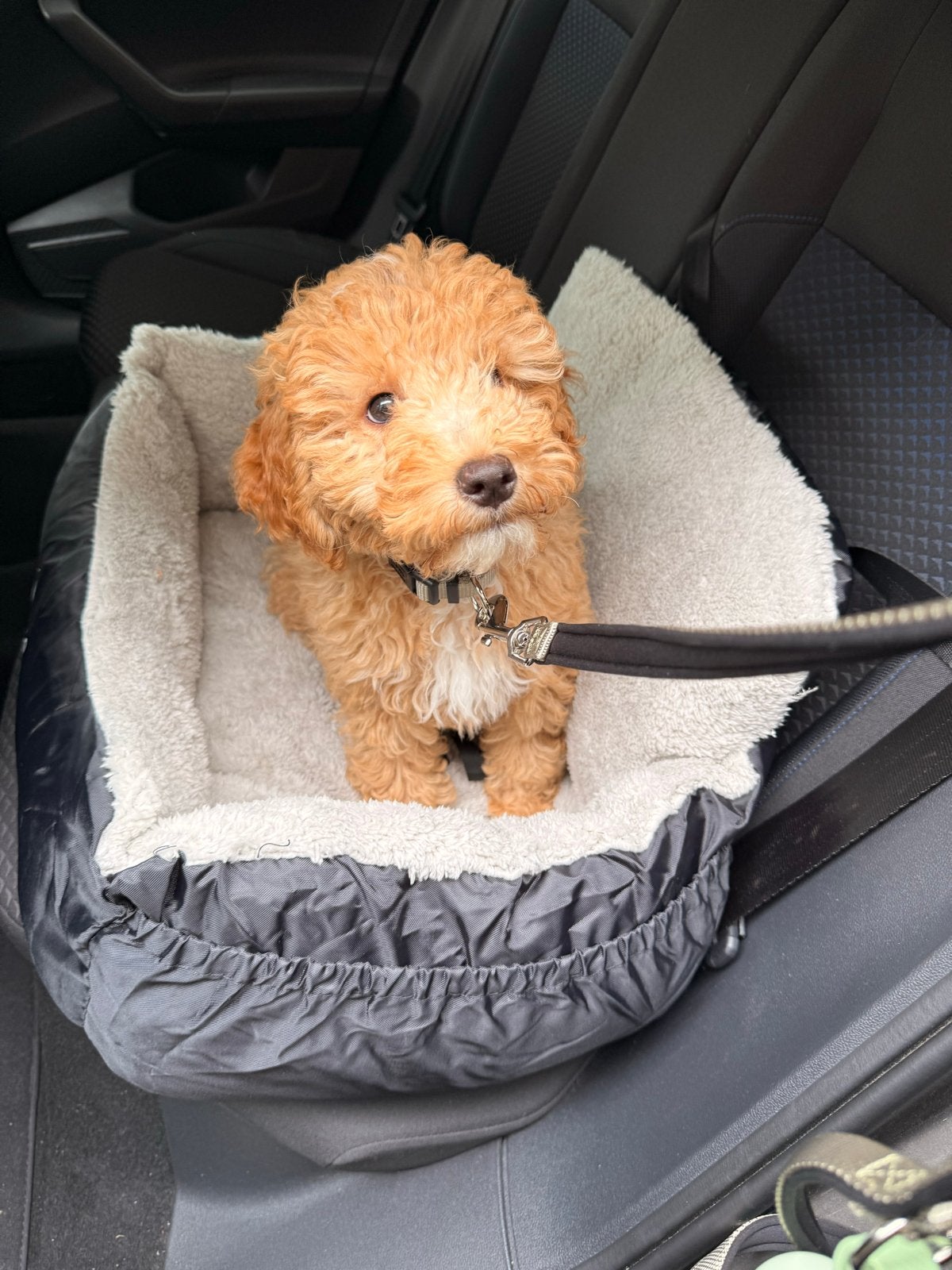 Filo Wasbare Autostoel Hond met Gordel, Dieren en Toebehoren, Overige merken, Ophalen, Gebruikt, Hondenautostoel