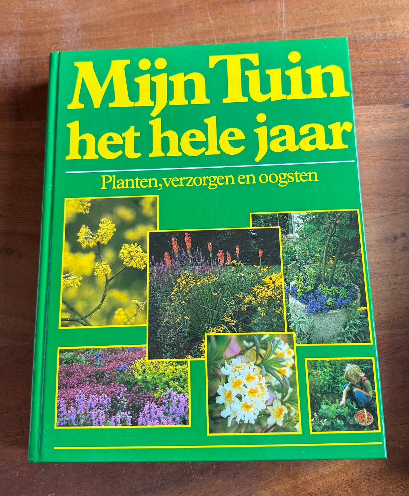 Mijn tuin het hele jaar – hardcover, Boeken, Ophalen of Verzenden, Zo goed als nieuw, Tuinieren en Tuinplanten