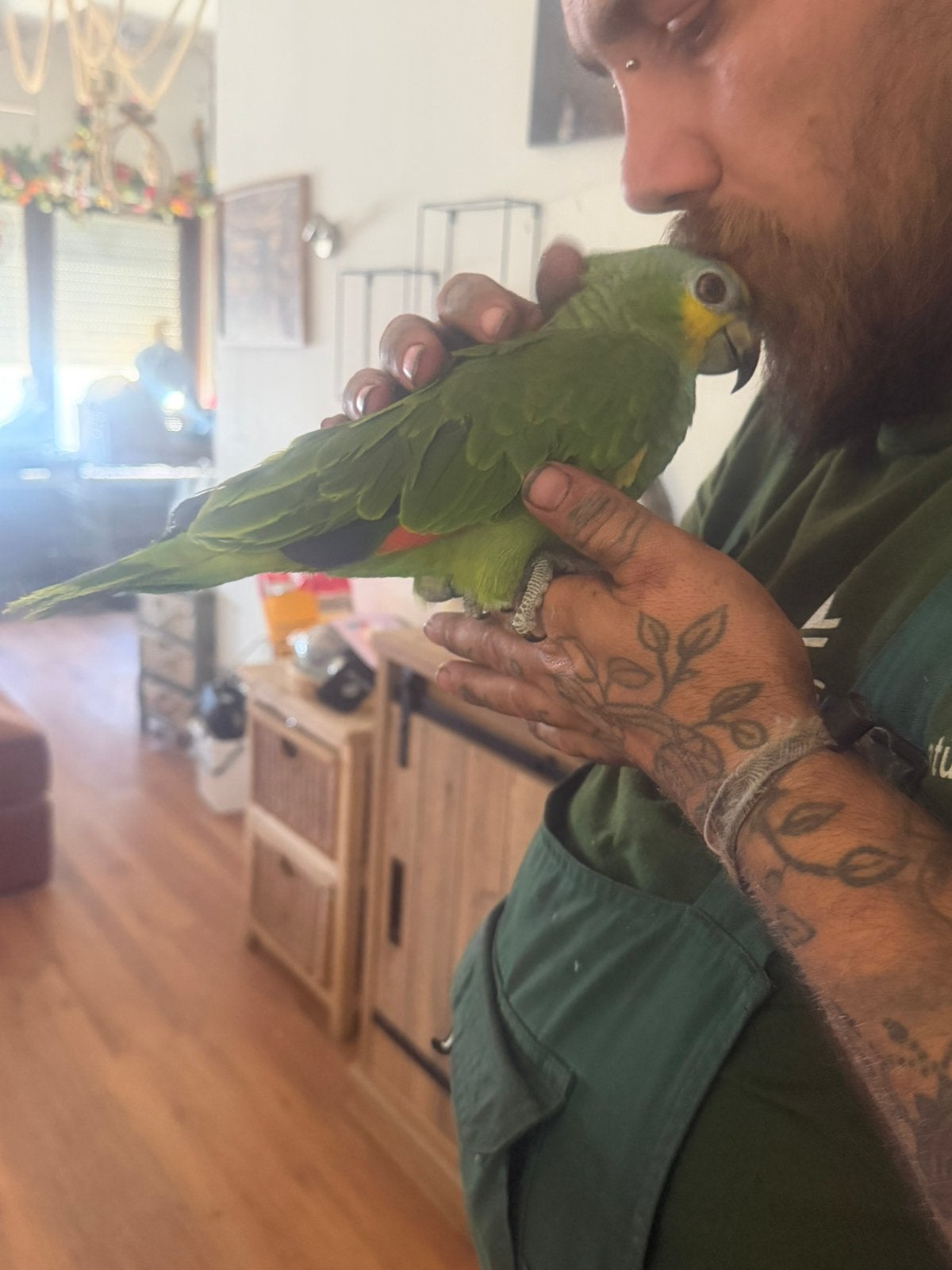 Handtamme amazone van 6 maanden, Dieren en Toebehoren, Vrouwelijk, Papegaai, Tam