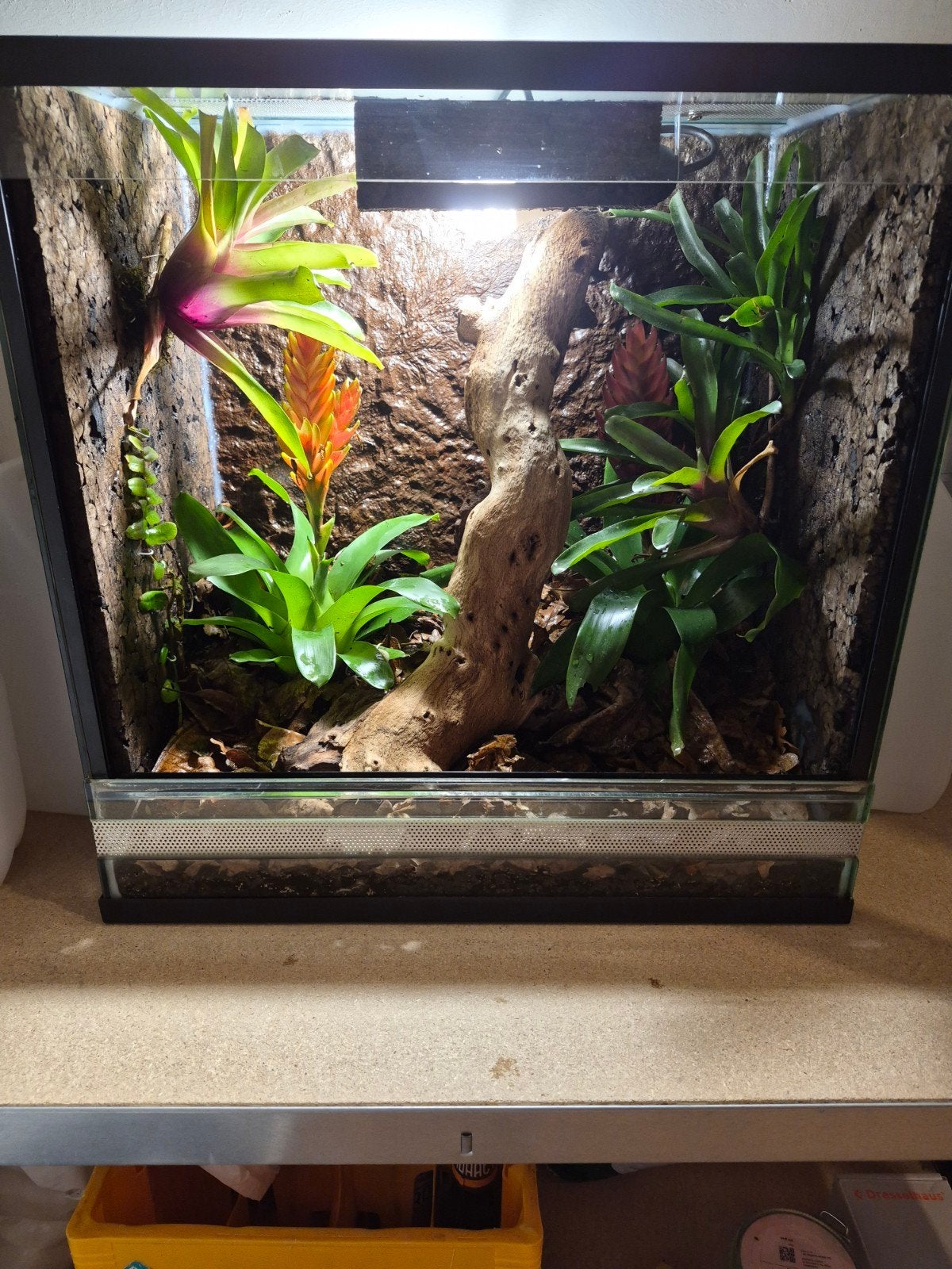 terrarium, Dieren en Toebehoren, Ophalen, Gebruikt, Terrarium of Paludarium