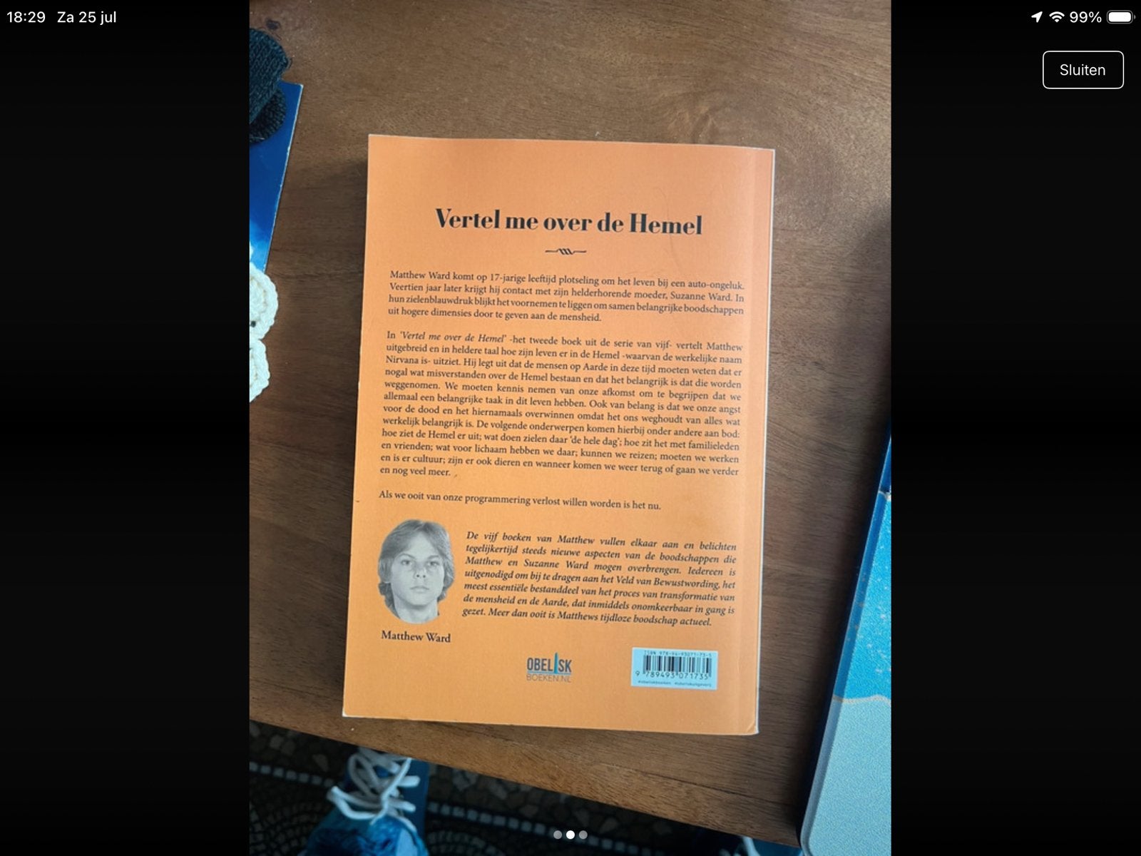 Vertel me over de Hemel - Suzanne Ward (Zo goed als nieuw), Ophalen of Verzenden, Zo goed als nieuw, Ziel of Sterfelijkheid, Achtergrond en Informatie