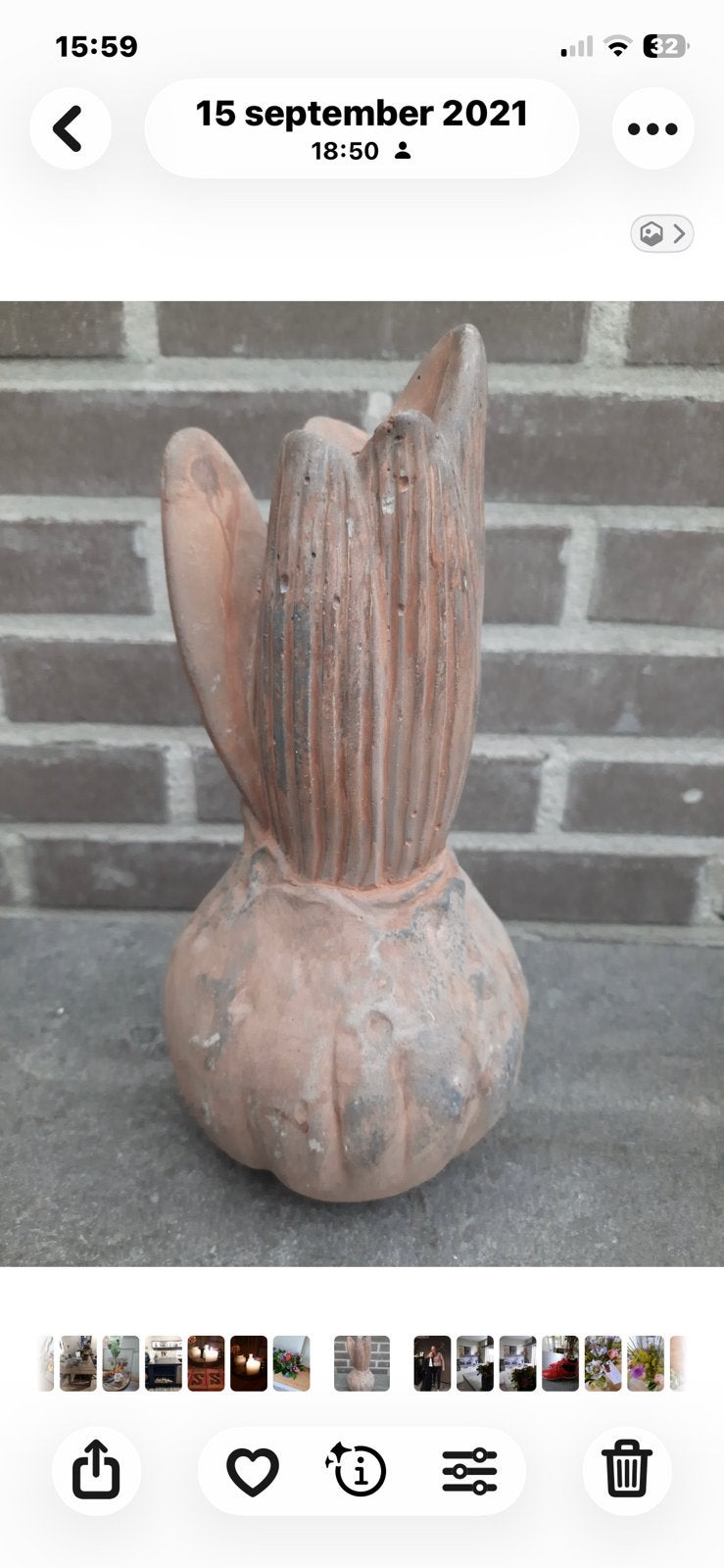 Mooie stenen amaryllis, Ophalen, Zo goed als nieuw