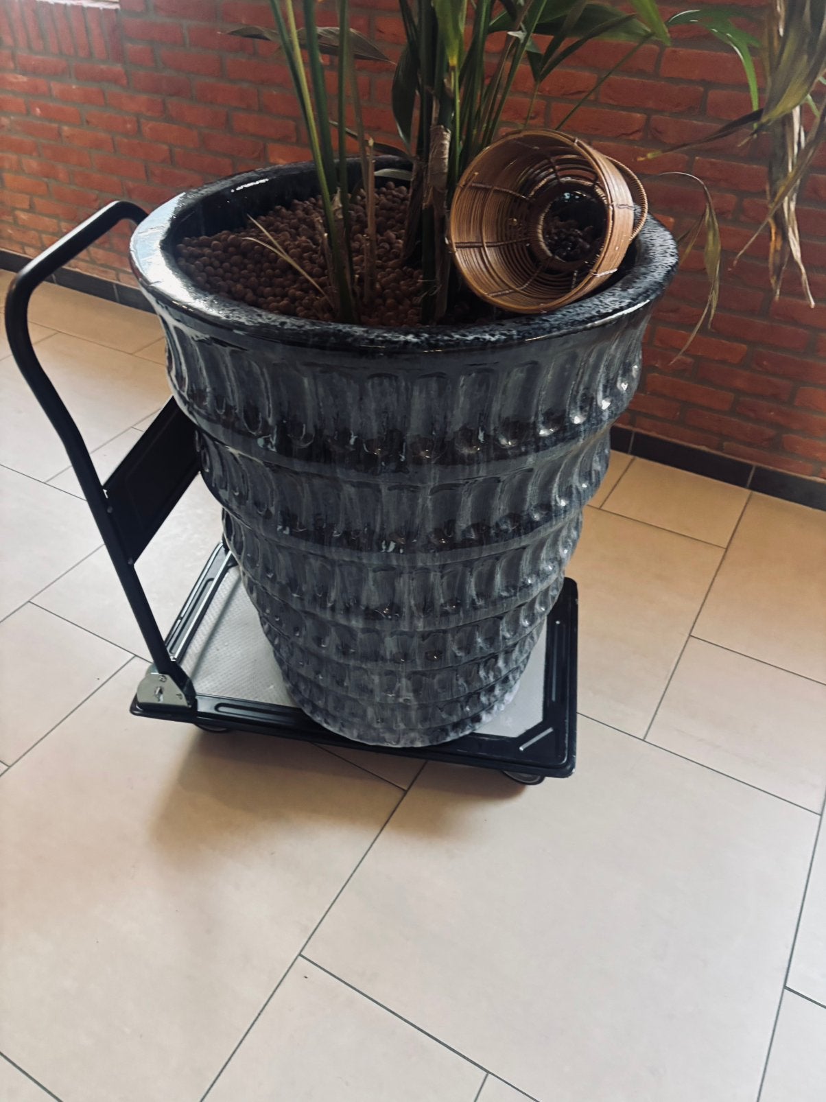 Zeer mooie bloempot van PTMD, Steen, Rond, Nieuw, Ophalen of Verzenden