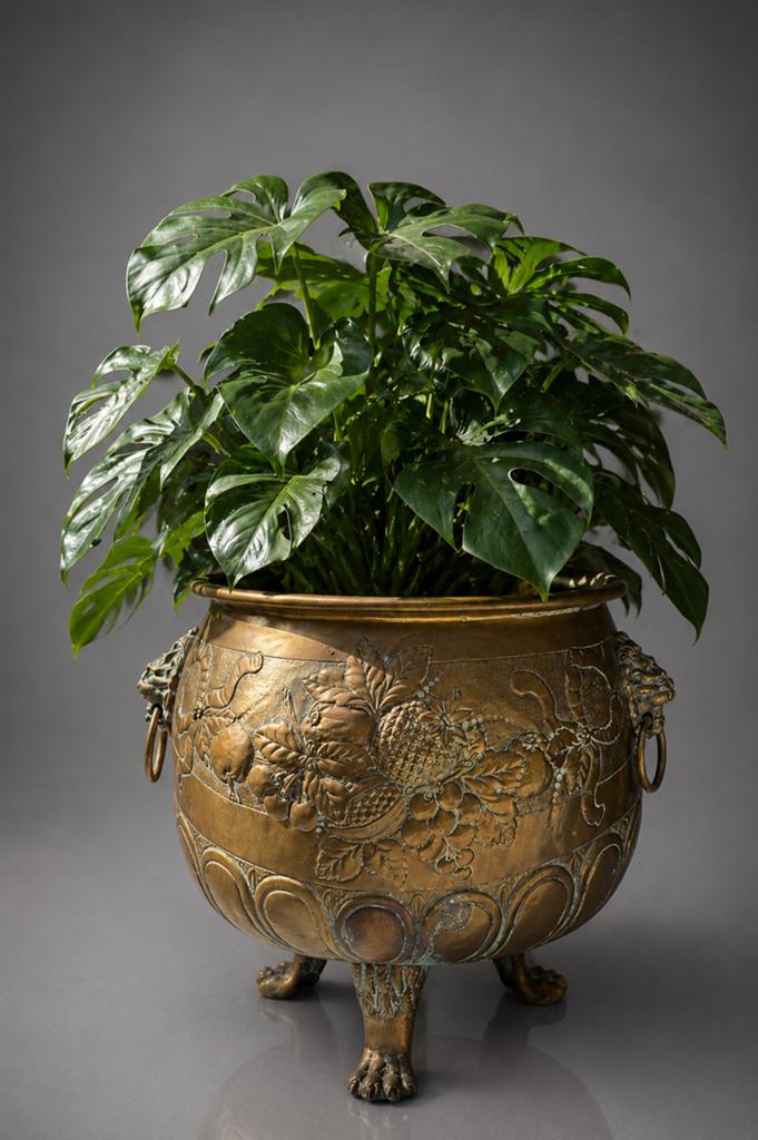 Art Nouveau Planter - Franse Jardinière op Klauwpoten, Ophalen of Verzenden, Brons