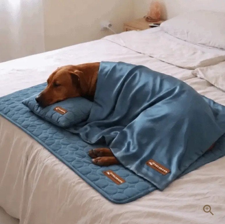 Pelsbarn hond 4 items, Dieren en Toebehoren, Hondenmanden, Ophalen of Verzenden, Nieuw, Overige