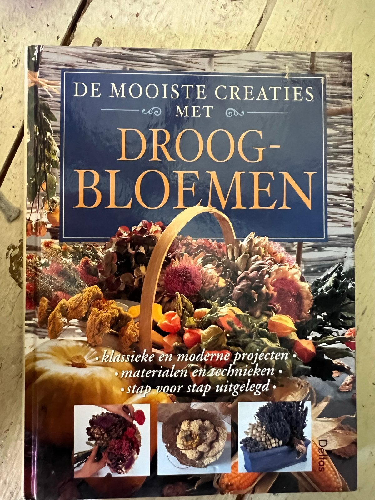 De Mooiste Creaties met Droogbloemen - Knutselboek, Boeken, Verzenden, Gelezen, Overige onderwerpen, Geschikt voor kinderen