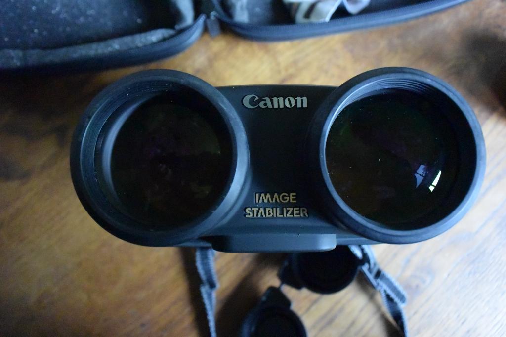 verrekijker Canon, Audio, Tv en Foto, Optische apparatuur | Verrekijkers, Dakkant (recht), 12 tot 20x, Ophalen of Verzenden, Zo goed als nieuw