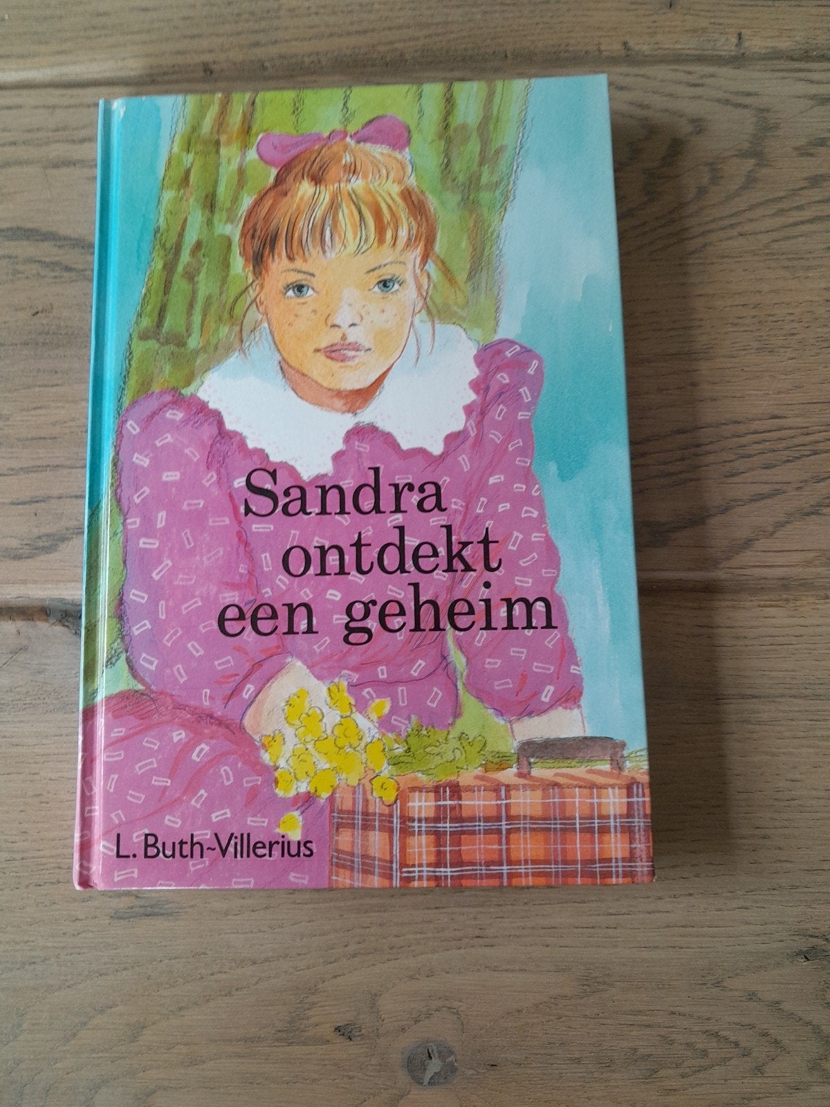 Boek :Sandra ontdekt een geheim - L. Buth-Villerius, Ophalen of Verzenden, Gelezen, L. Buth-Villerius, Fictie