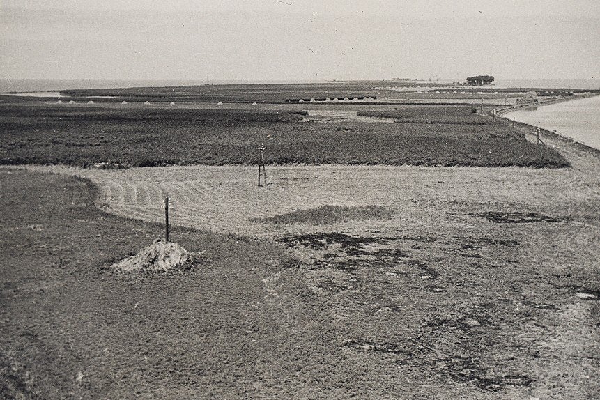 Schokland, Foto, Ophalen of Verzenden, Zo goed als nieuw, 1940 tot 1960