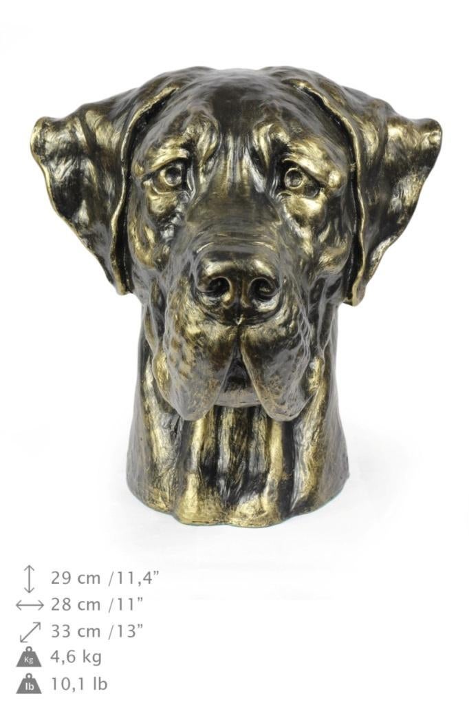 Te koop Duitse Dog  buitenbeeld hoofd, Ophalen of Verzenden, Nieuw, Dier
