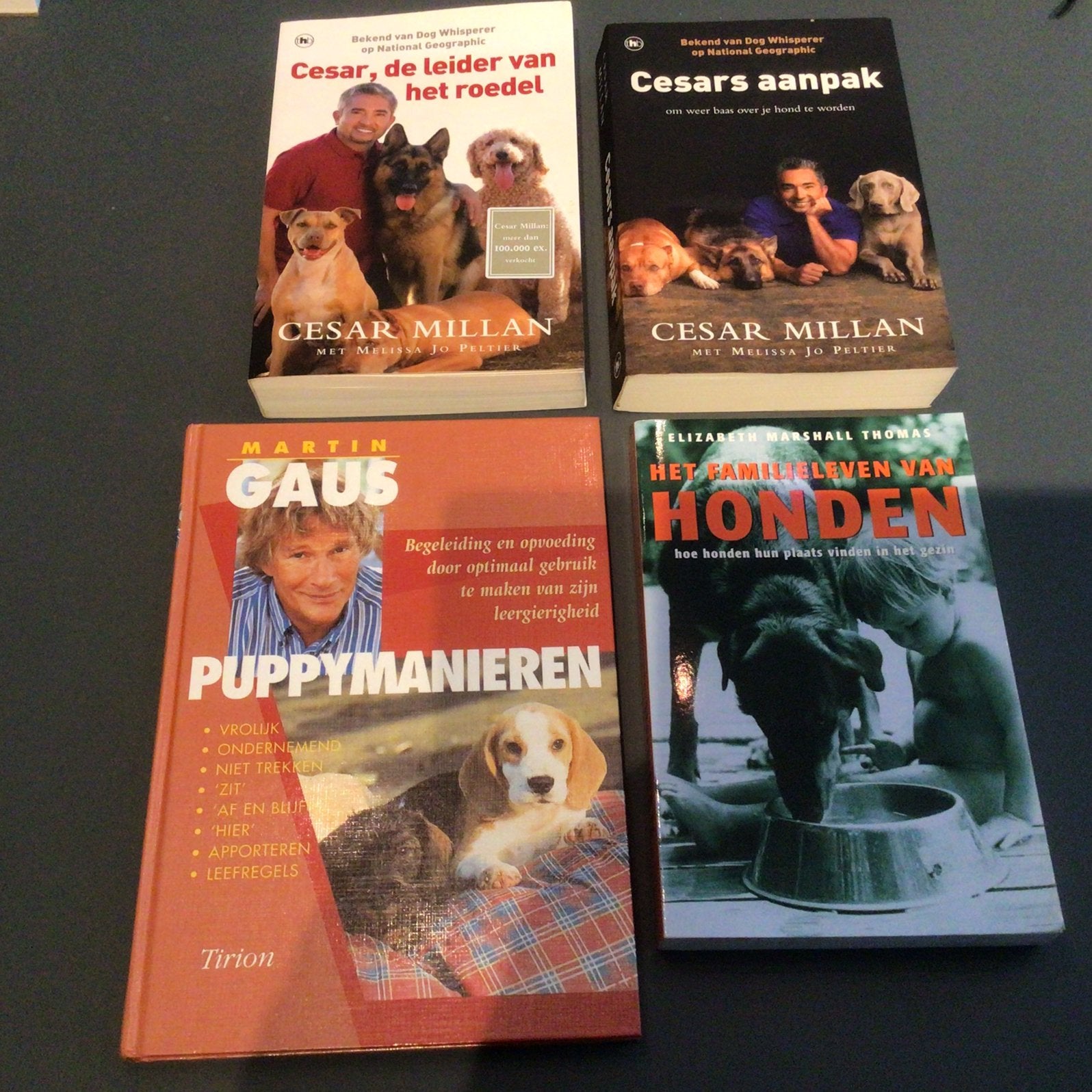 4 mooie boeken over honden, Ophalen of Verzenden, Gelezen, Honden