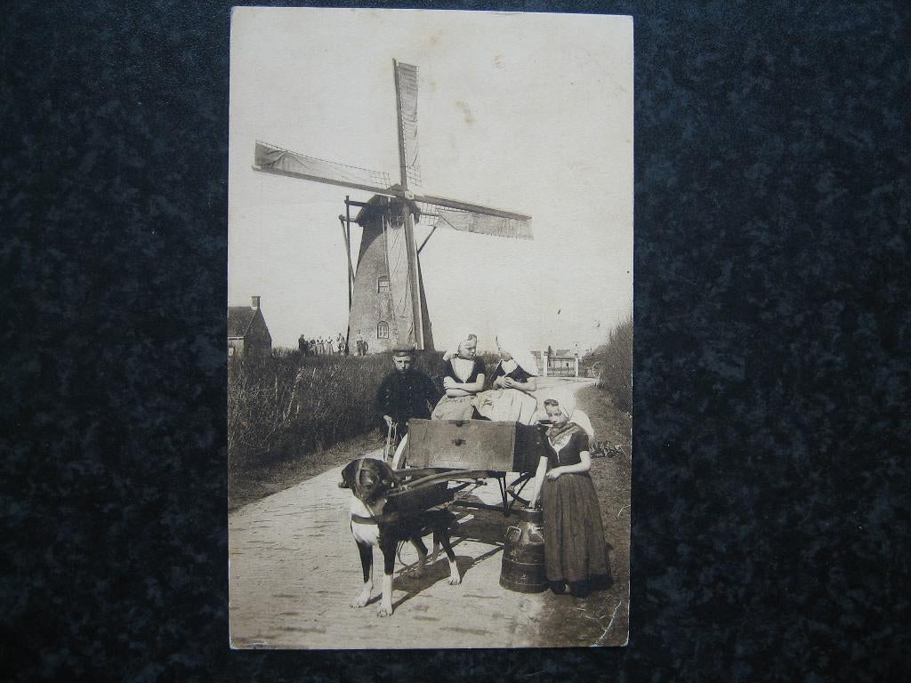 ZEELAND 4 jongelui bij molen met hondenkar 1919, Verzamelen, Ophalen of Verzenden, Voor 1920, Zeeland