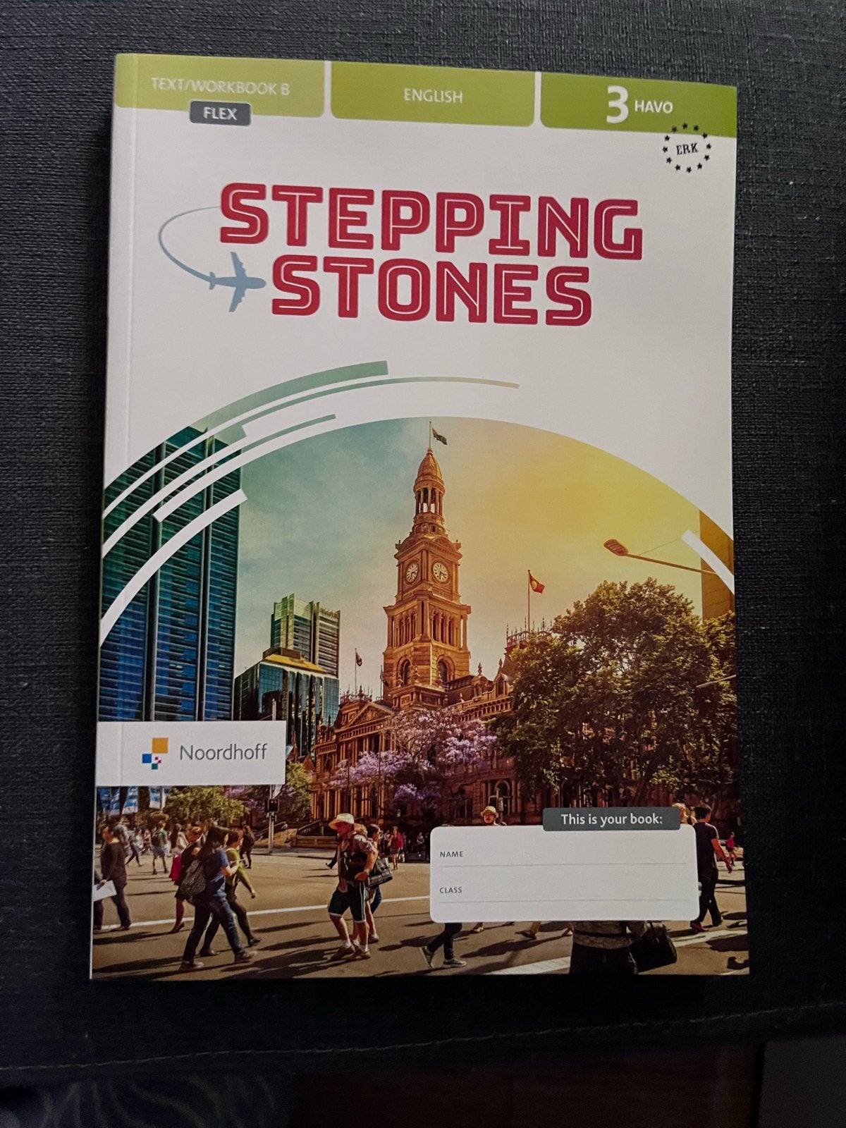 Stepping Stones Engels 3 HAVO - Nieuw Text/Workbook B, Boeken, Ophalen of Verzenden, Nieuw, HAVO, Engels