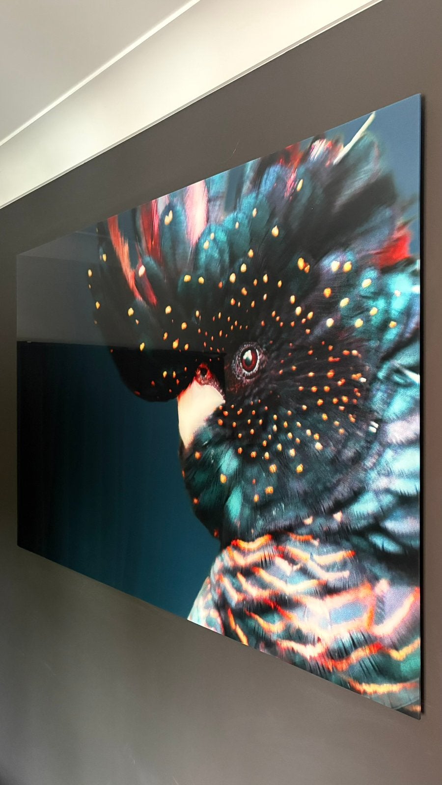 Plexiglas kaketoe 100x150 cm, Ophalen