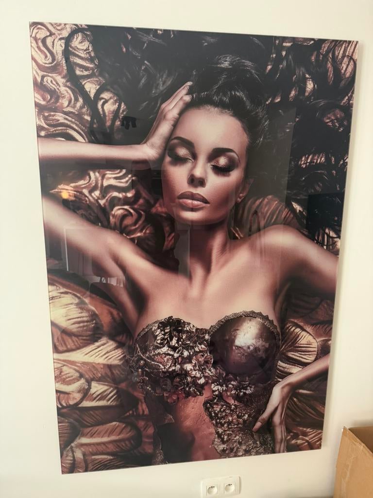 Plexiglas schilderij, Ophalen, Zo goed als nieuw, Schilderij, 75 cm of meer