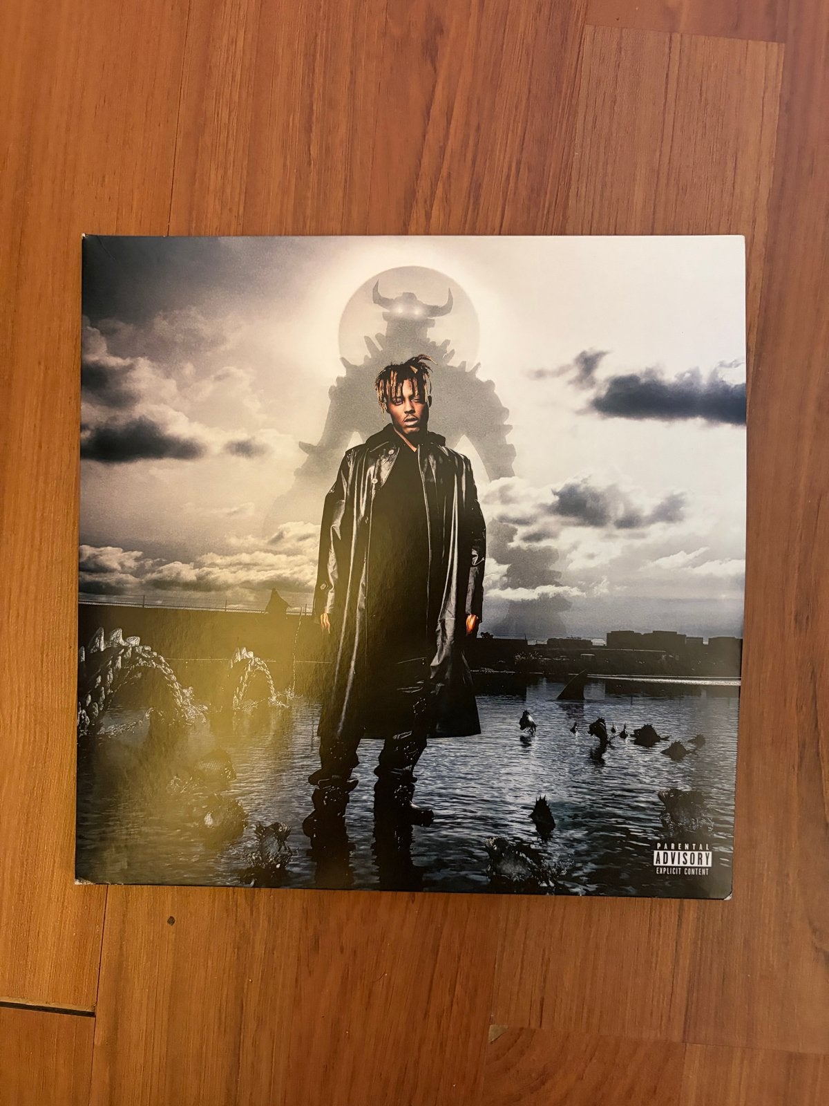 Juice WRLD - Fighting Demons LP (Zo goed als nieuw), Ophalen, 2020 tot heden, Zo goed als nieuw, 12 inch