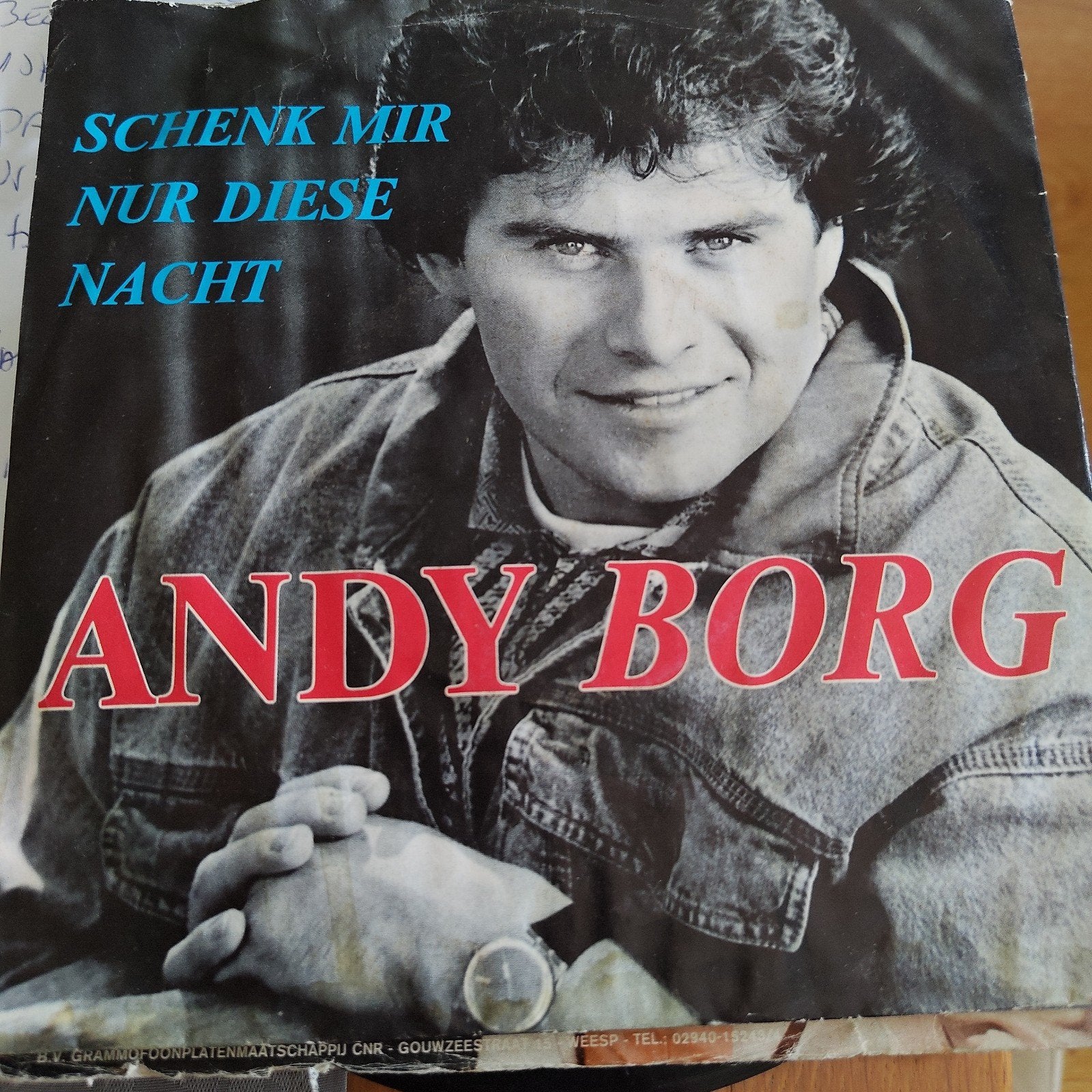 Andy Borg - Schenk Mir Nur Diese Nacht Single, Ophalen of Verzenden, Gebruikt, 7 inch, Schlager