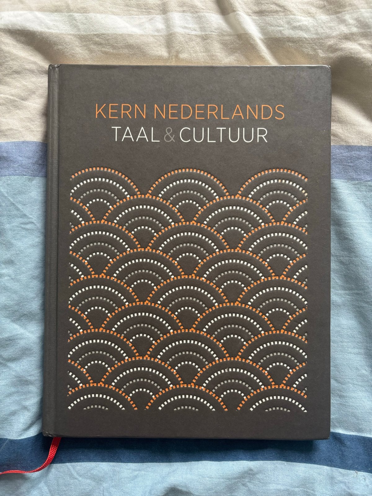 Kern Nederlands Taal & Cultuur Havo Boek, Ophalen of Verzenden, Gelezen, Overige niveaus