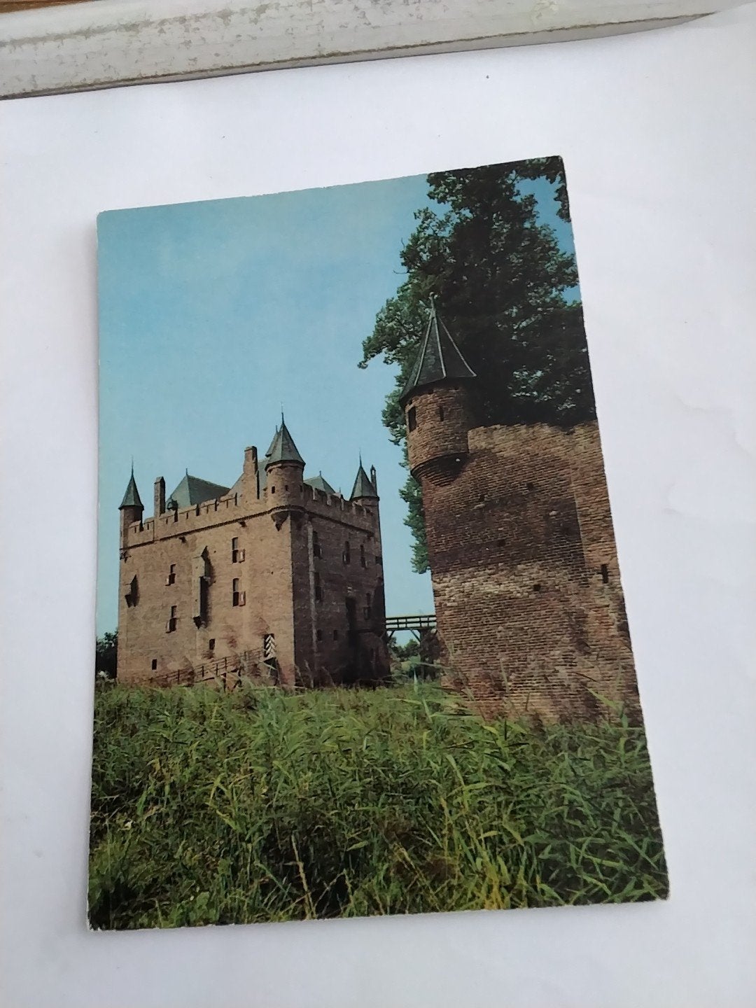 Ansichtkaart Kasteel Doornenburg Gelderland, Ophalen of Verzenden