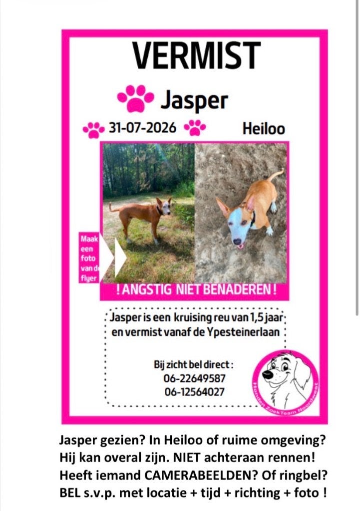 vermist, Hond