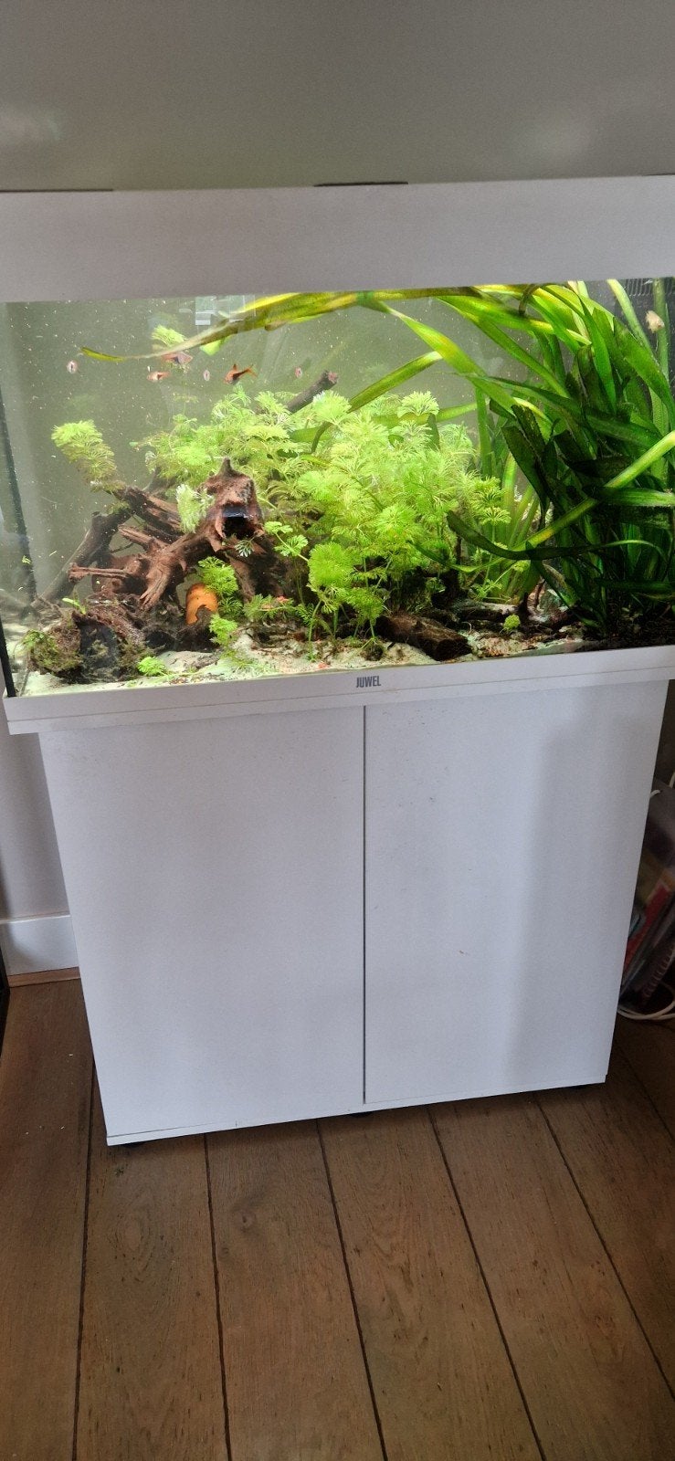 Rio 125 aquarium, Helialux lampen, compleet pakket, Ophalen