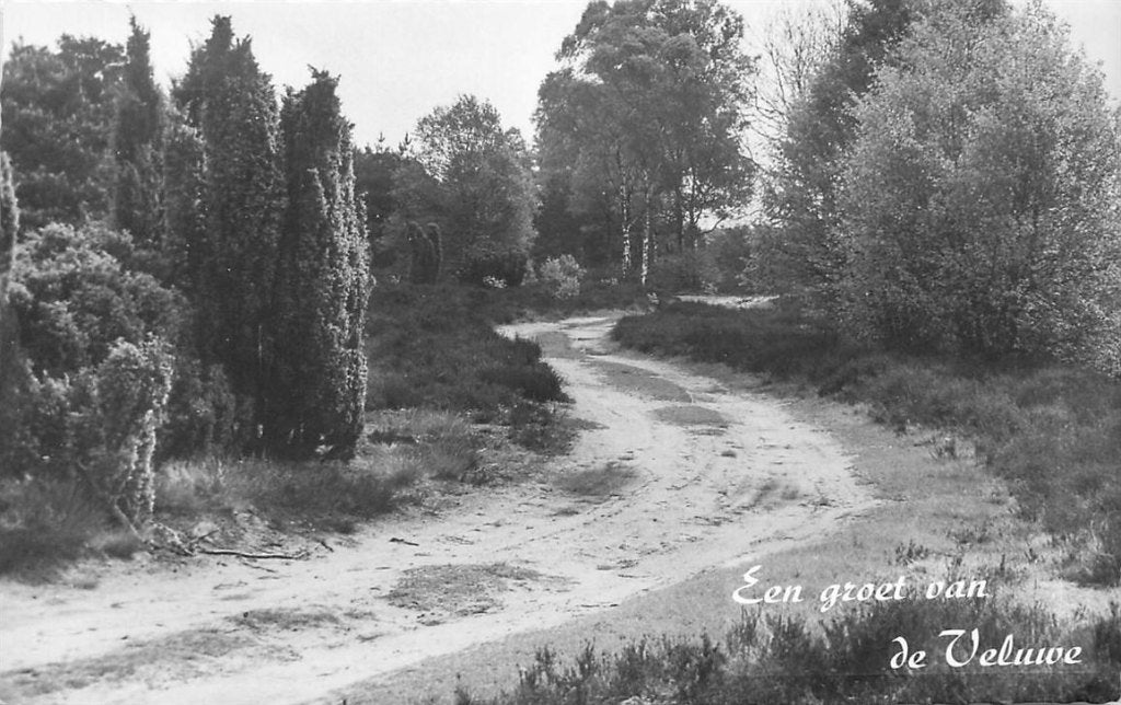 379-238-043 Veluwe, Ophalen of Verzenden, Voor 1920, Gelderland