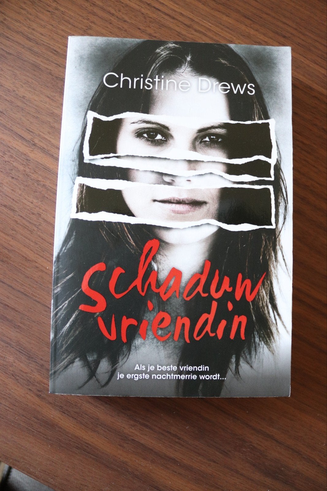 Christine Drews - Schaduwvriendin, Boeken, Ophalen of Verzenden, Zo goed als nieuw, Christine Drews