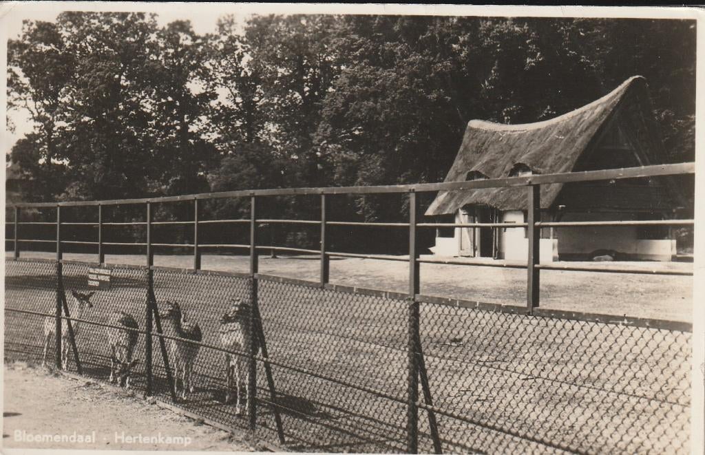 Bloemendaal      Hertenkamp, Ophalen of Verzenden, 1940 tot 1960, Gelopen, Noord-Holland