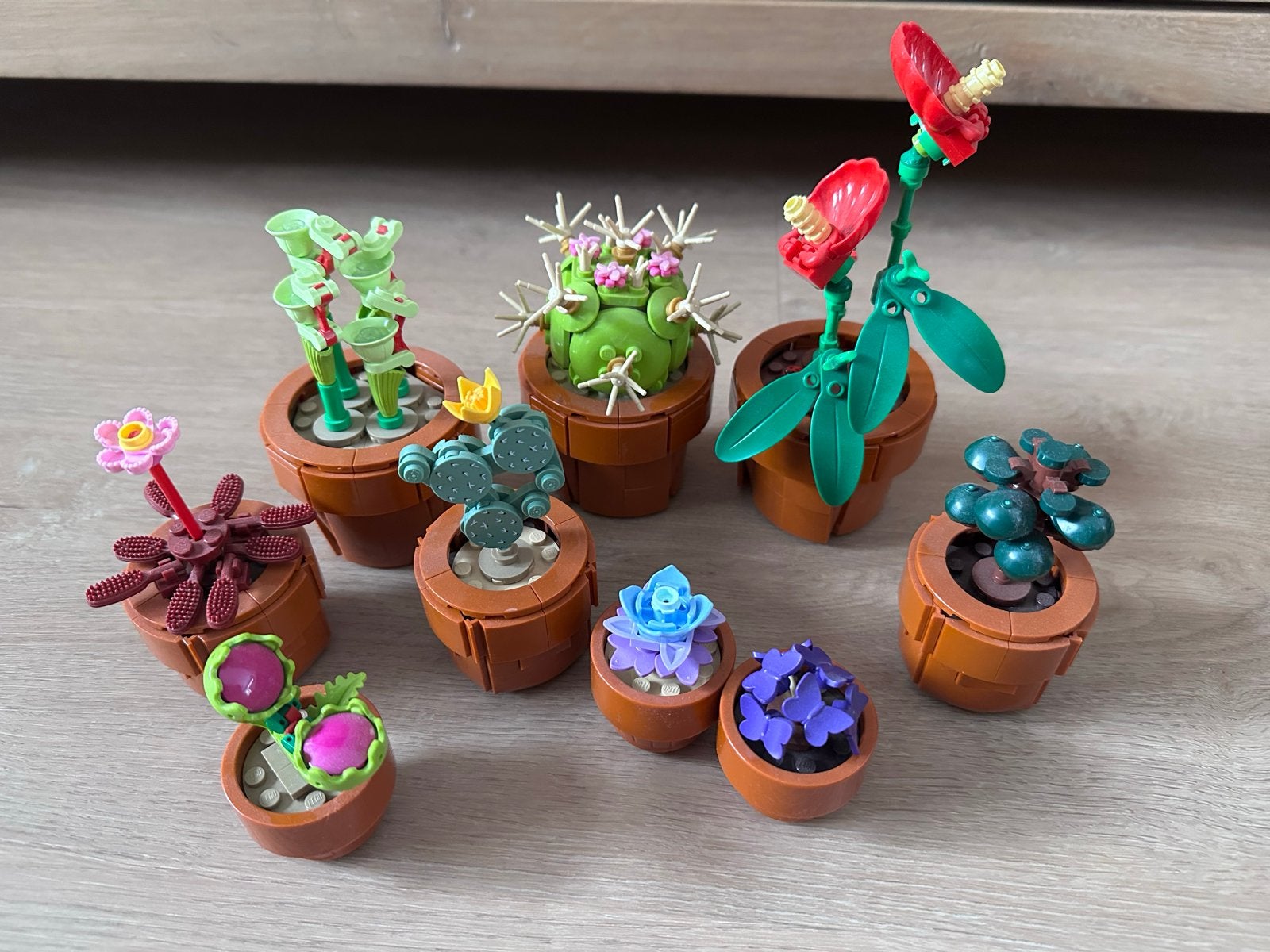 LEGO Botanical Collection 10309 Tiny plants, Ophalen, Zo goed als nieuw, Overige merken