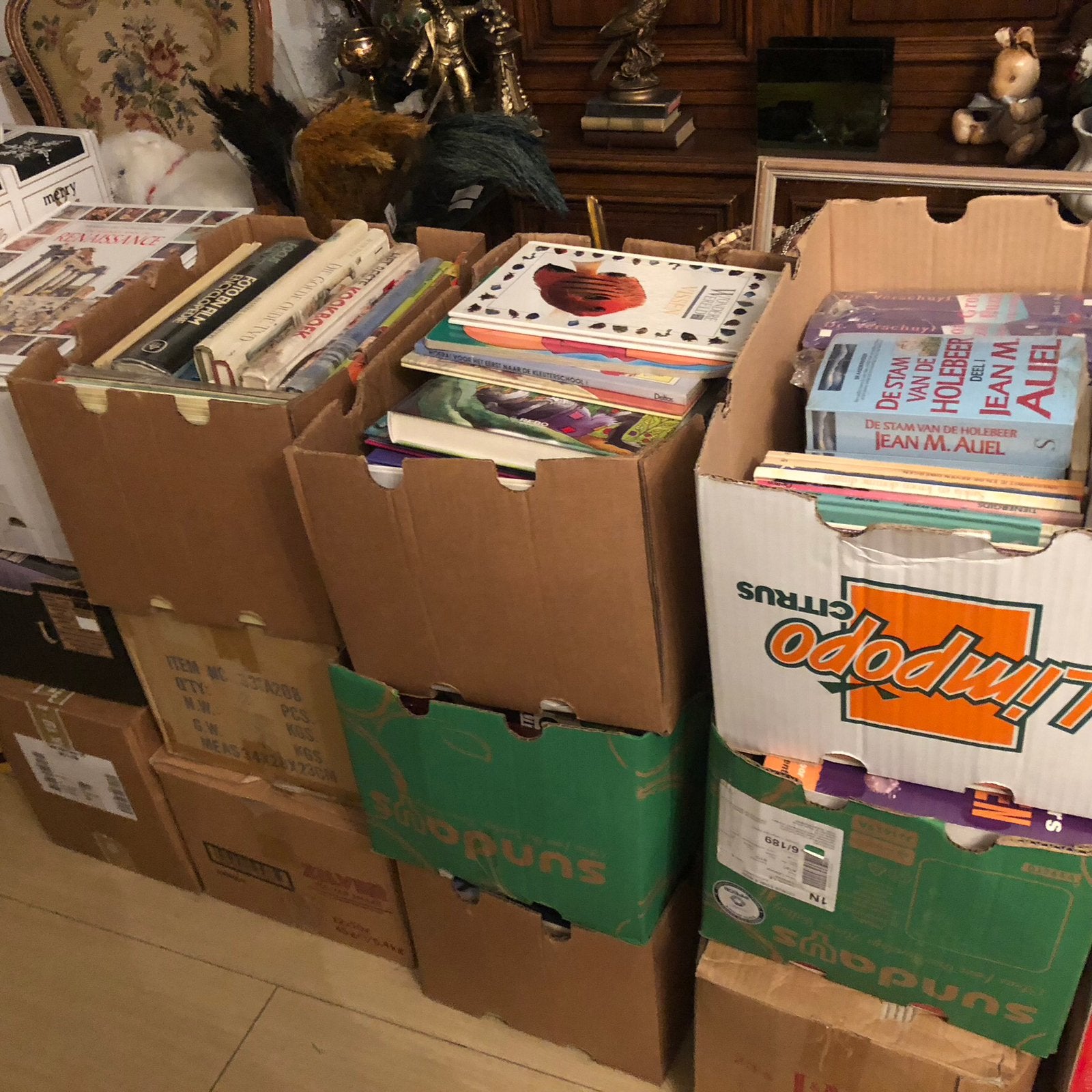 Grote party ass boeken, Boeken, Partijen en Verzamelingen, Ophalen of Verzenden, Nieuw, Verschillende onderwerpen