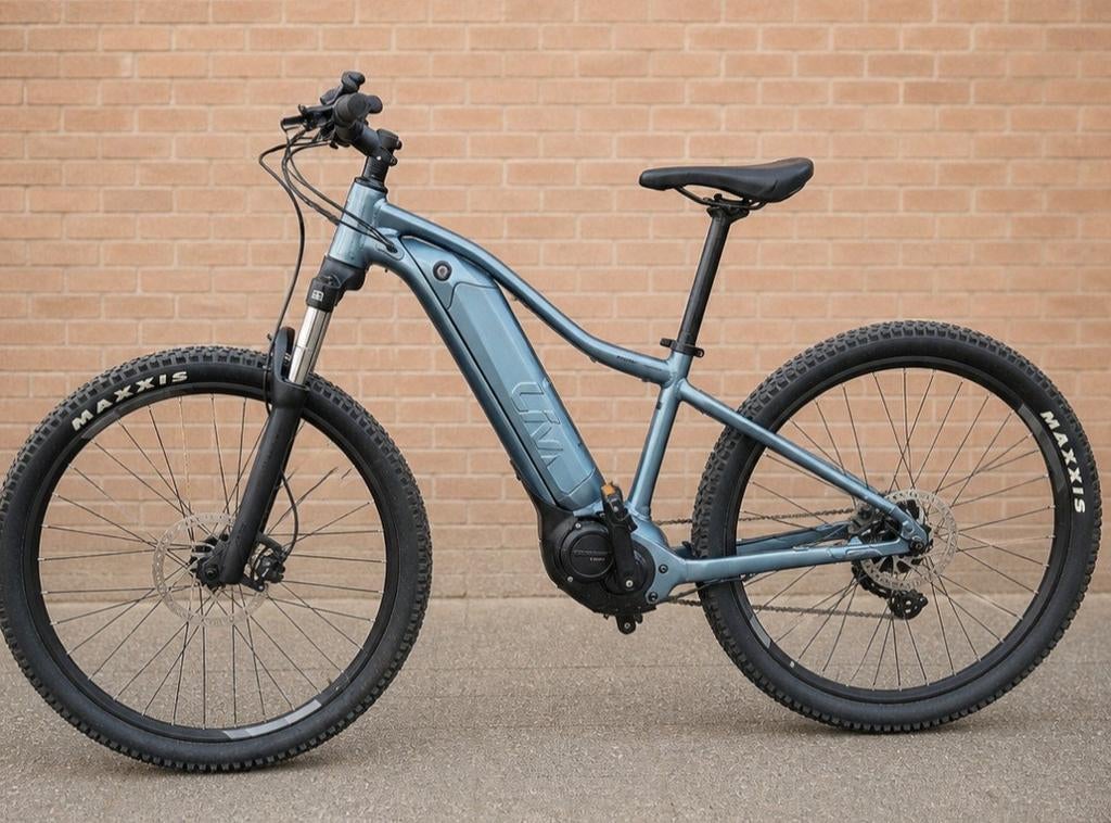 Super mooie Electrische mountianbike in Top staat, Fietsen en Brommers, Fietsen | Mountainbikes en ATB, Ophalen, Hardtail, Giant