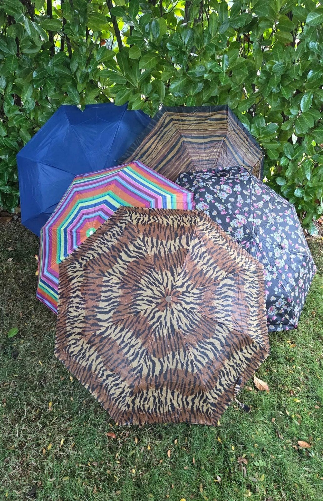 ️ Leuke kleurige Paraplu's, handzaam formaat., Sieraden, Tassen en Uiterlijk, Ophalen of Verzenden, Overige kleuren