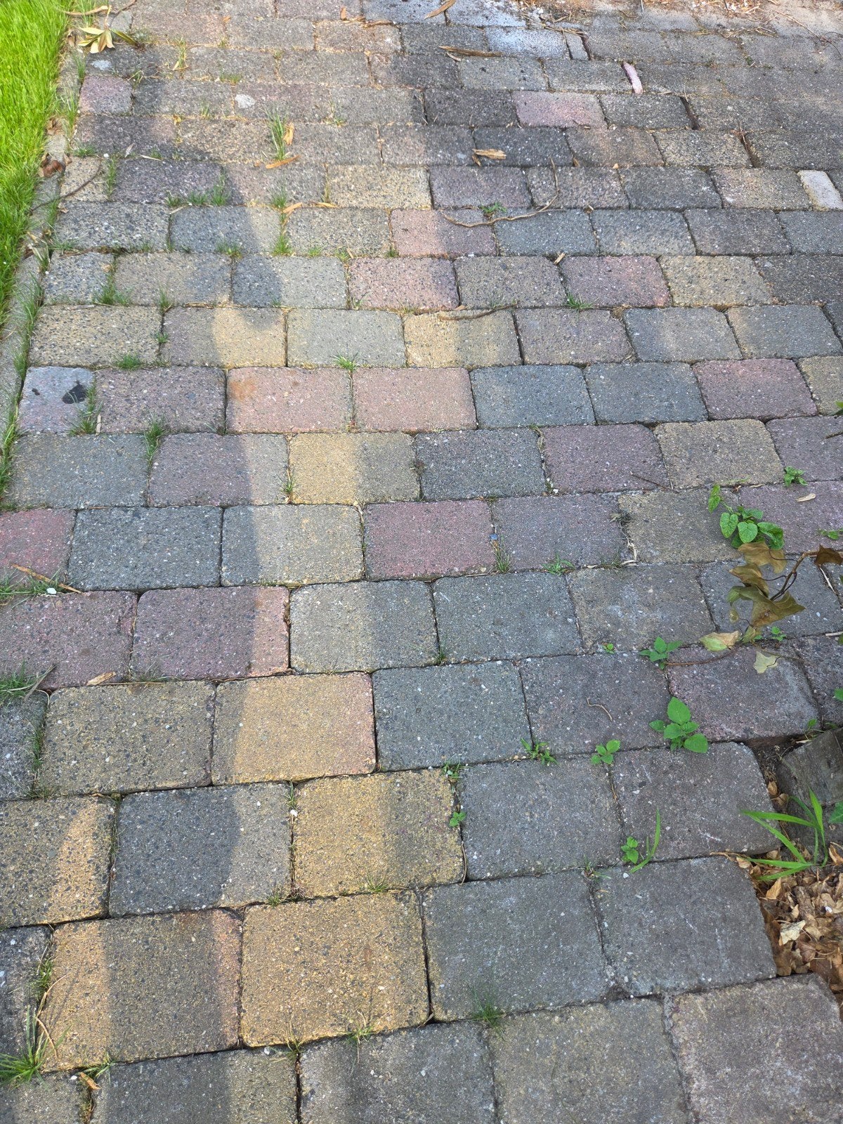 Ongeveer 30m2 tegels + 2 cirkels van 2x2, Ophalen, Gebruikt, Beton, Klinkers