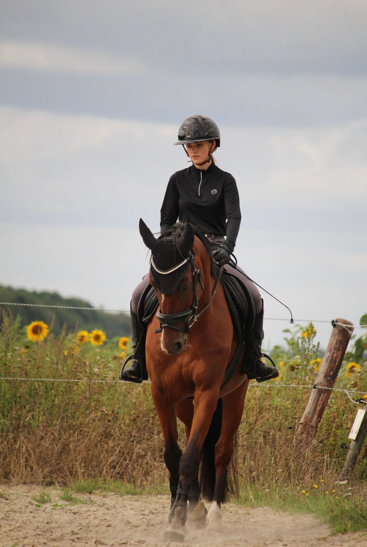 Mooie 7 jarige ruin, Dieren en Toebehoren, Paarden, Gechipt, Ruin, Dressuurpaard, Zadelmak
