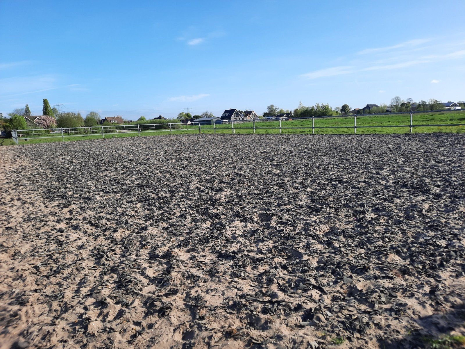 Op onze privé/pensionstal hebben wij enkele boxen vrij, Weidegang