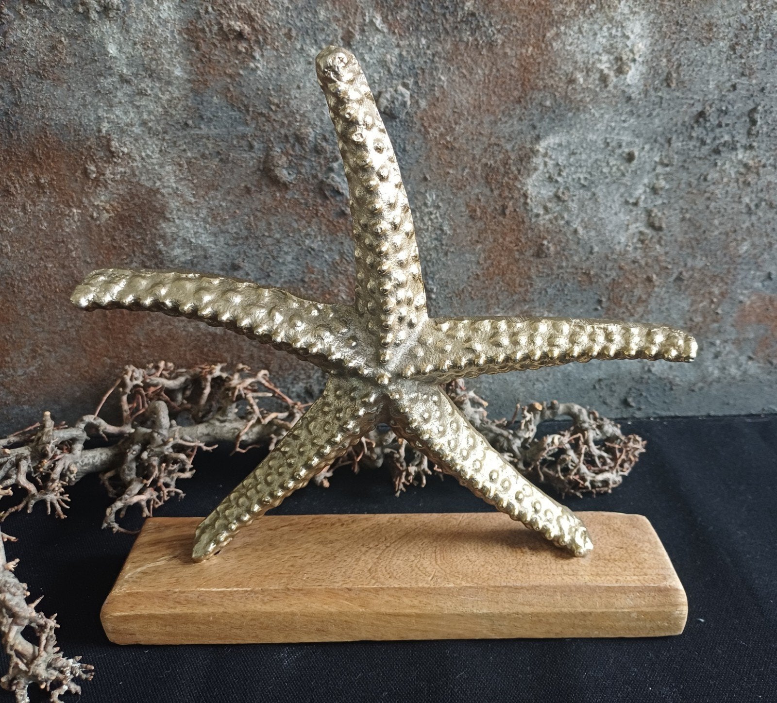 Ornament zeester, Huis en Inrichting, Woonaccessoires | Overige, Ophalen of Verzenden