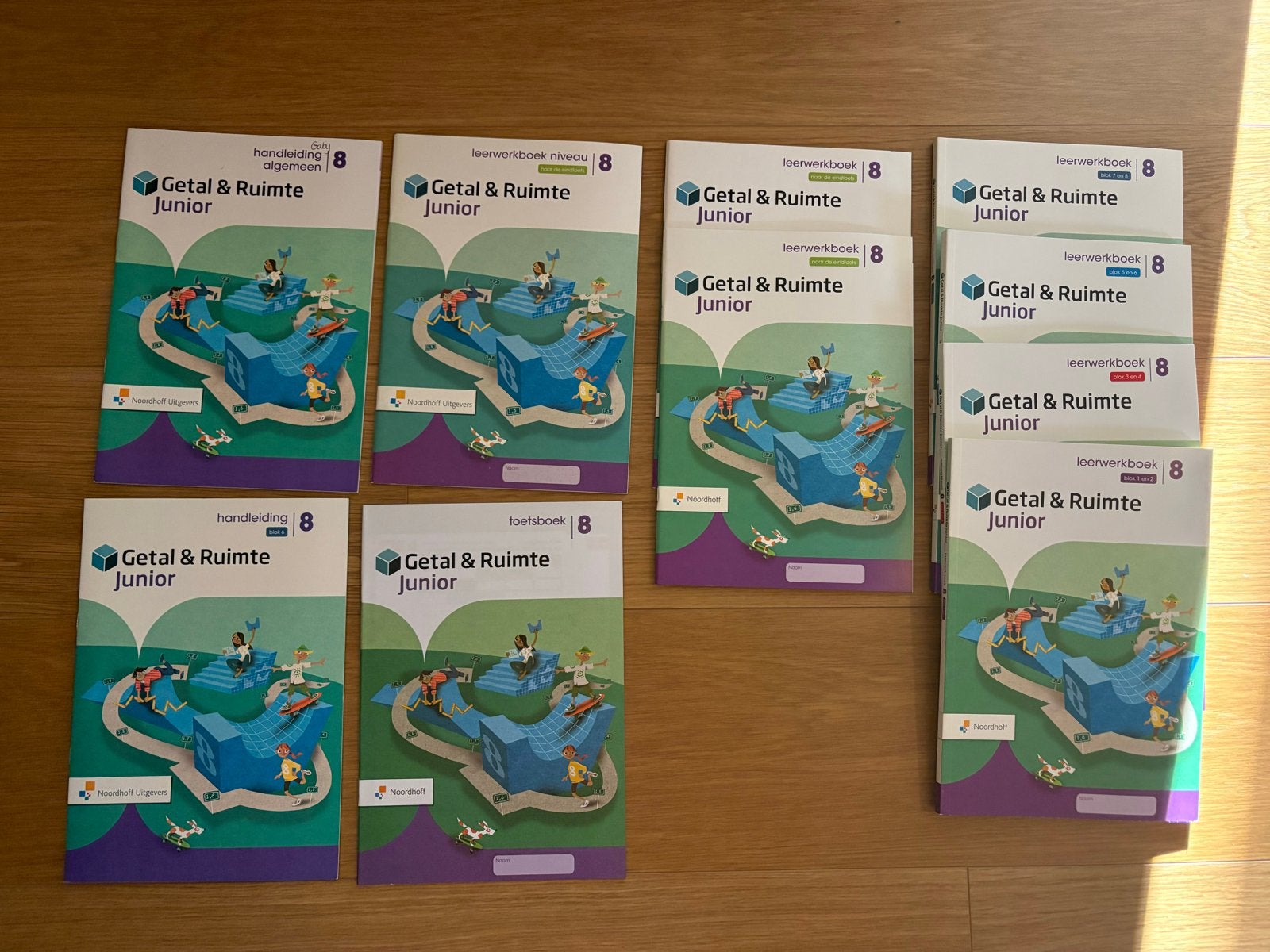 Getal & Ruimte Junior Groep 8: Compleet Pakket, Boeken, Ophalen of Verzenden, Zo goed als nieuw, Overige niveaus, Overige vakken