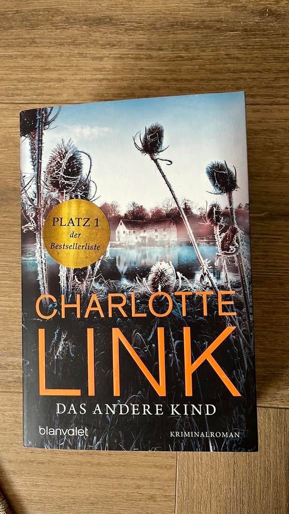 Das andere Kind - Charlotte Link, Boeken, Romans, Zo goed als nieuw, Ophalen